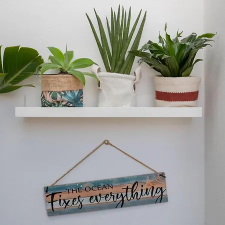 Lush Botanic Oasis With A Boho Hideaway, Near & Cafes Apartment Lagos
